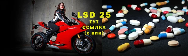 ECSTASY Козельск