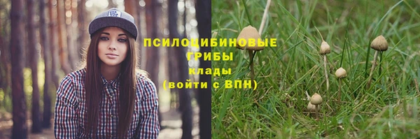 ECSTASY Козельск