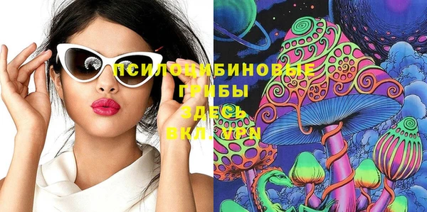 дурь Коряжма