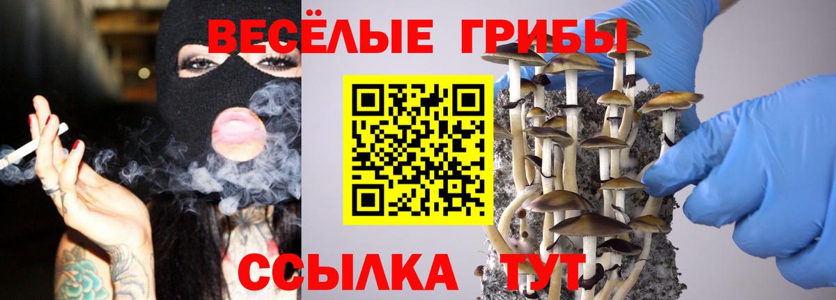 Псилоцибиновые грибы Magic Shrooms  Галлюциногенные грибы Cubensis  Вход с VPN  как найти закладки  Наро-Фоминск 